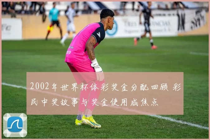 2002年世界杯体彩奖金分配回顾 彩民中奖故事与奖金使用成焦点