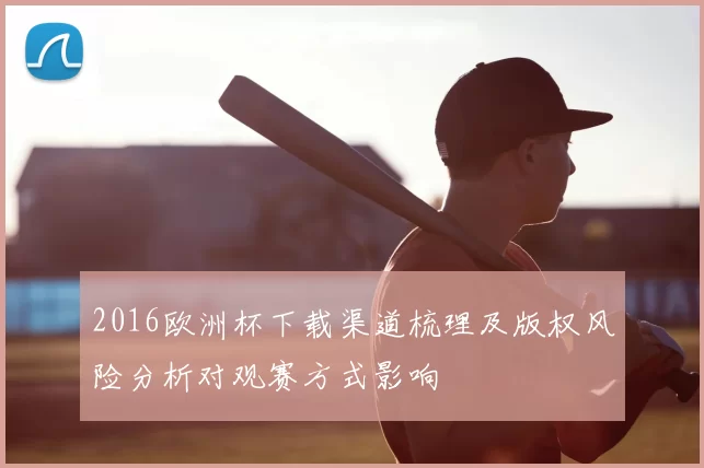 2016欧洲杯下载渠道梳理及版权风险分析对观赛方式影响
