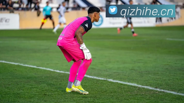 Kaiyun(开云科技有限公司)官方网站 - 享受极限体育乐趣平台生态图